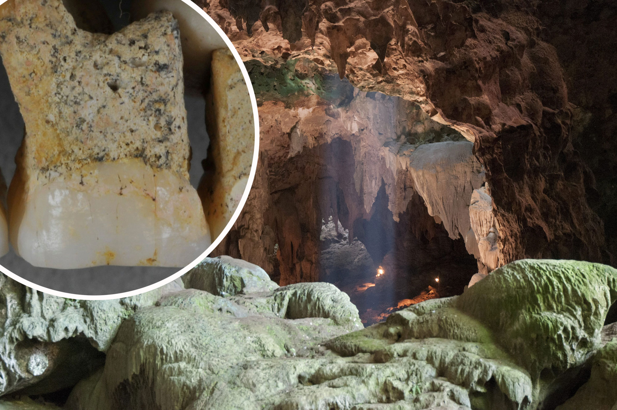 Luzon-spilja-Callao-zub