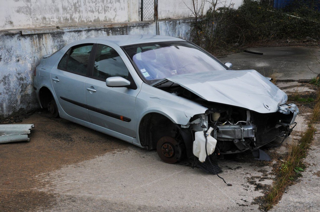 profimedia-0186626018