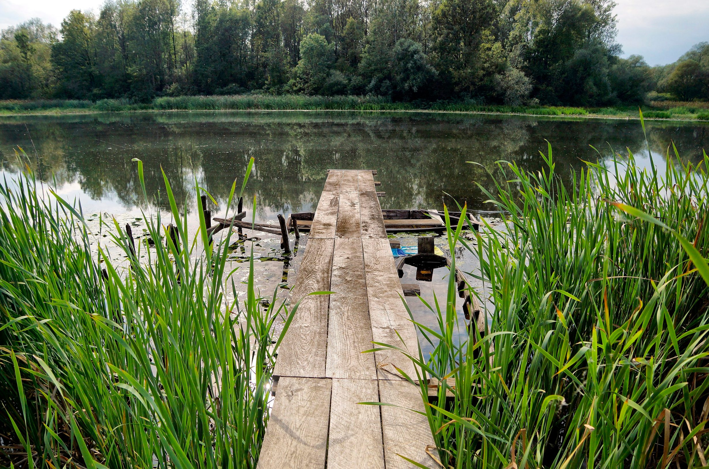 lonjsko_polje4-230912
