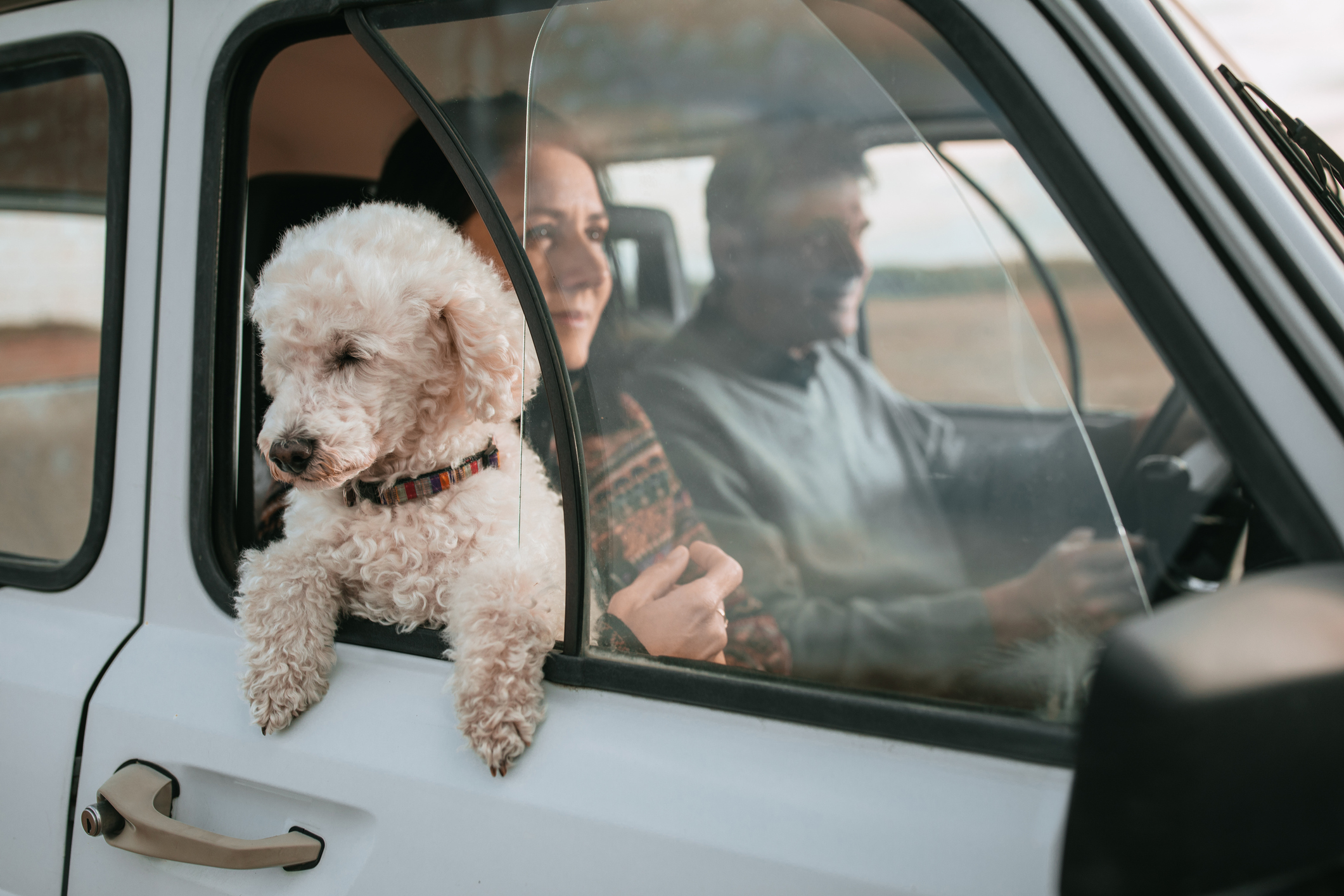 I oni znaju biti zlopamtila, ali brzo ih to pusti...