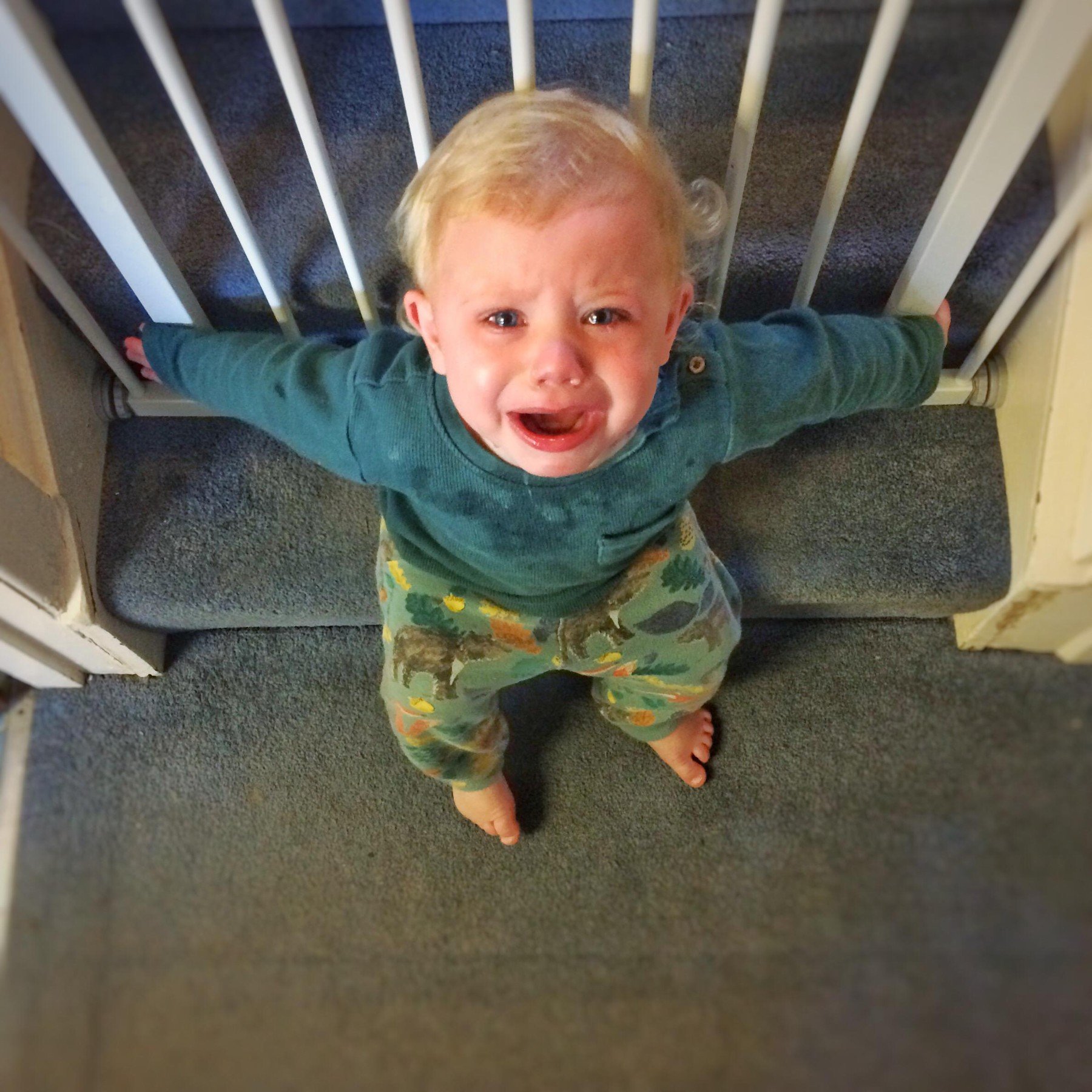 profimedia-0354776028