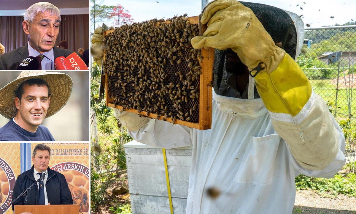 (Odozgo prema dolje) Prof. Nikola Kezić, Tvrtko Matijević i Željko Vrbos