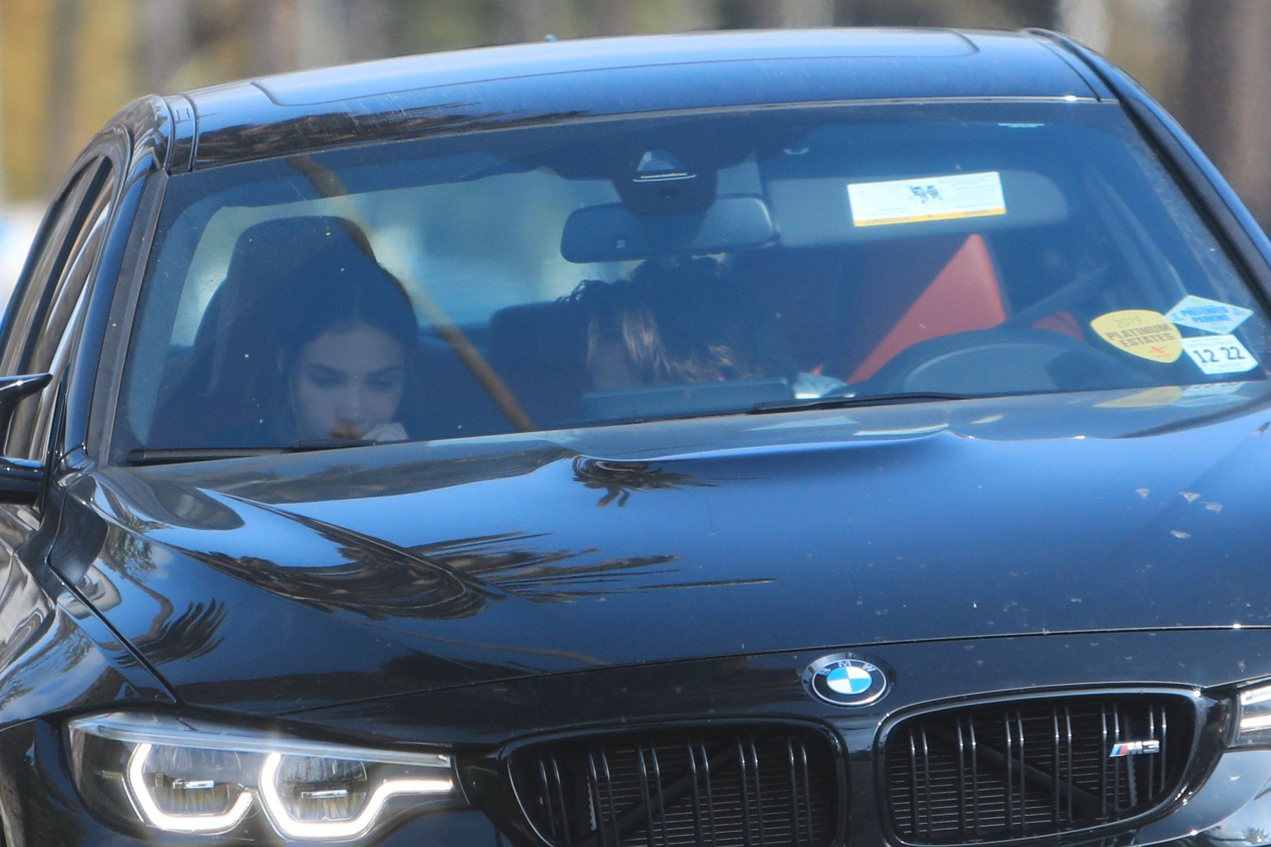 profimedia-0427323986_3