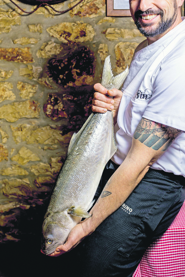 skoko-strijelka57-100319