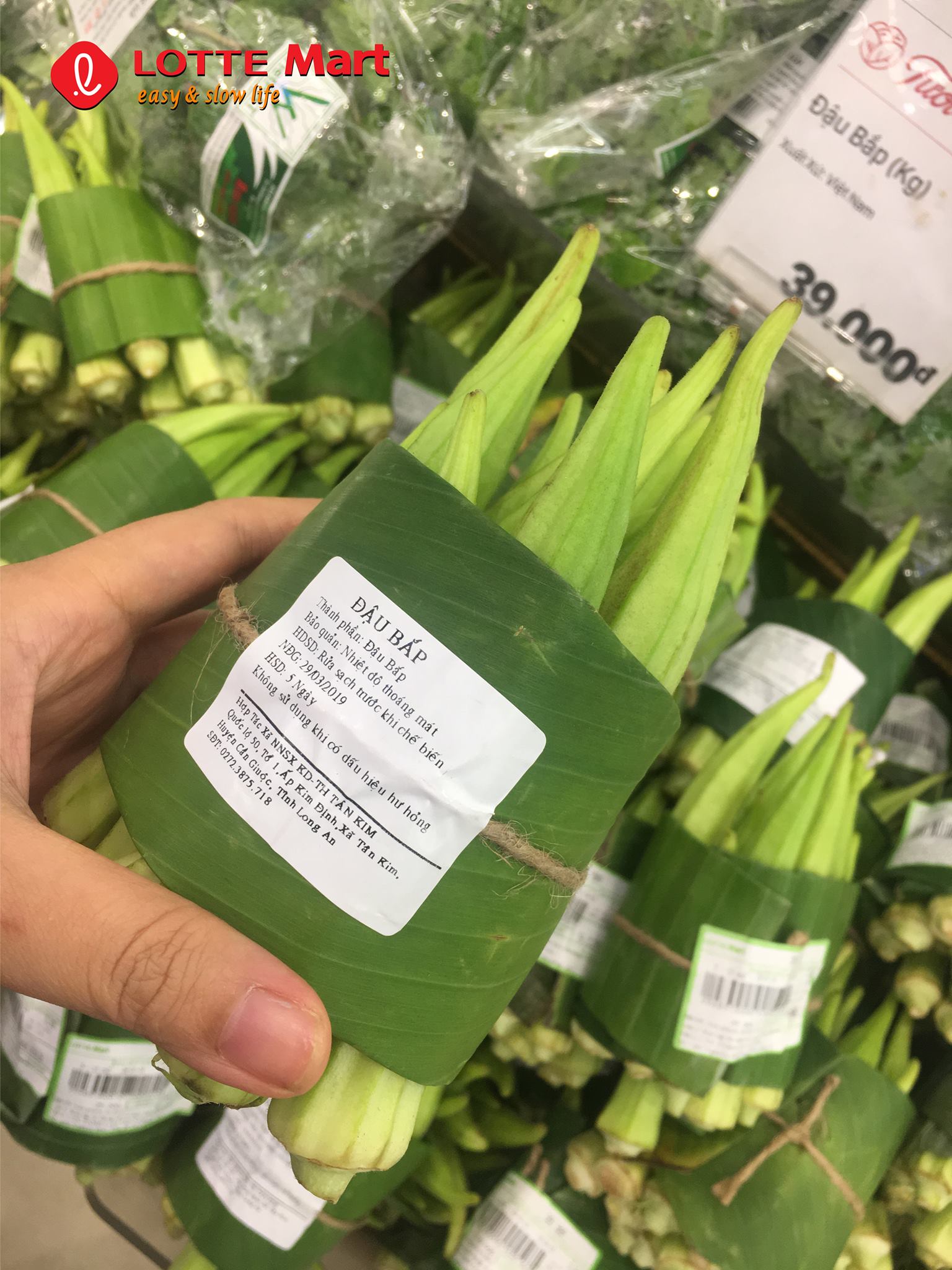 55887776_1246320255537213_6968340376243404800_o