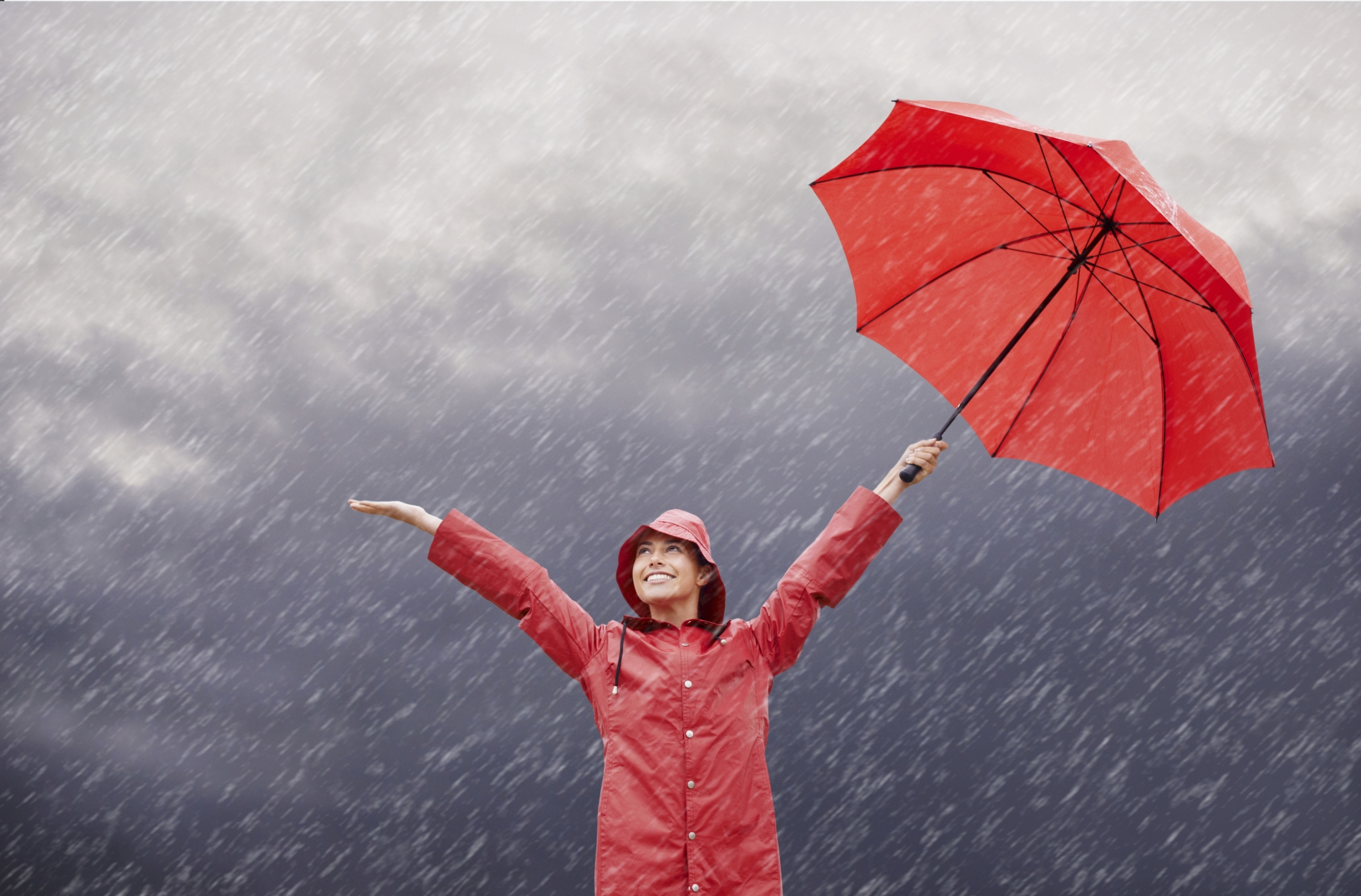 wiener_standard_protect_hero