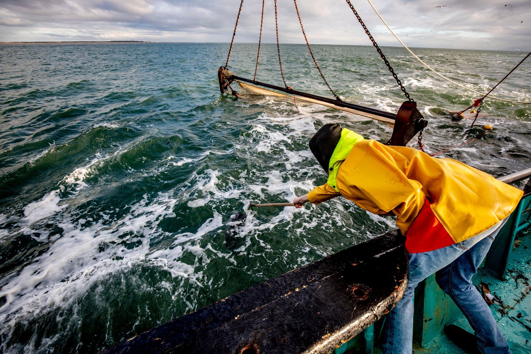 U potrazi za kontejnerima palim s broda MSC Zoe pronađeno je srednjovjekovno blago