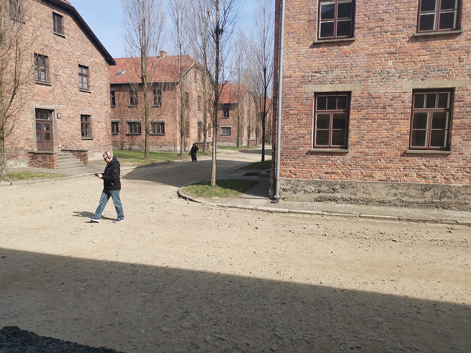 IMG_20190330_103243_1