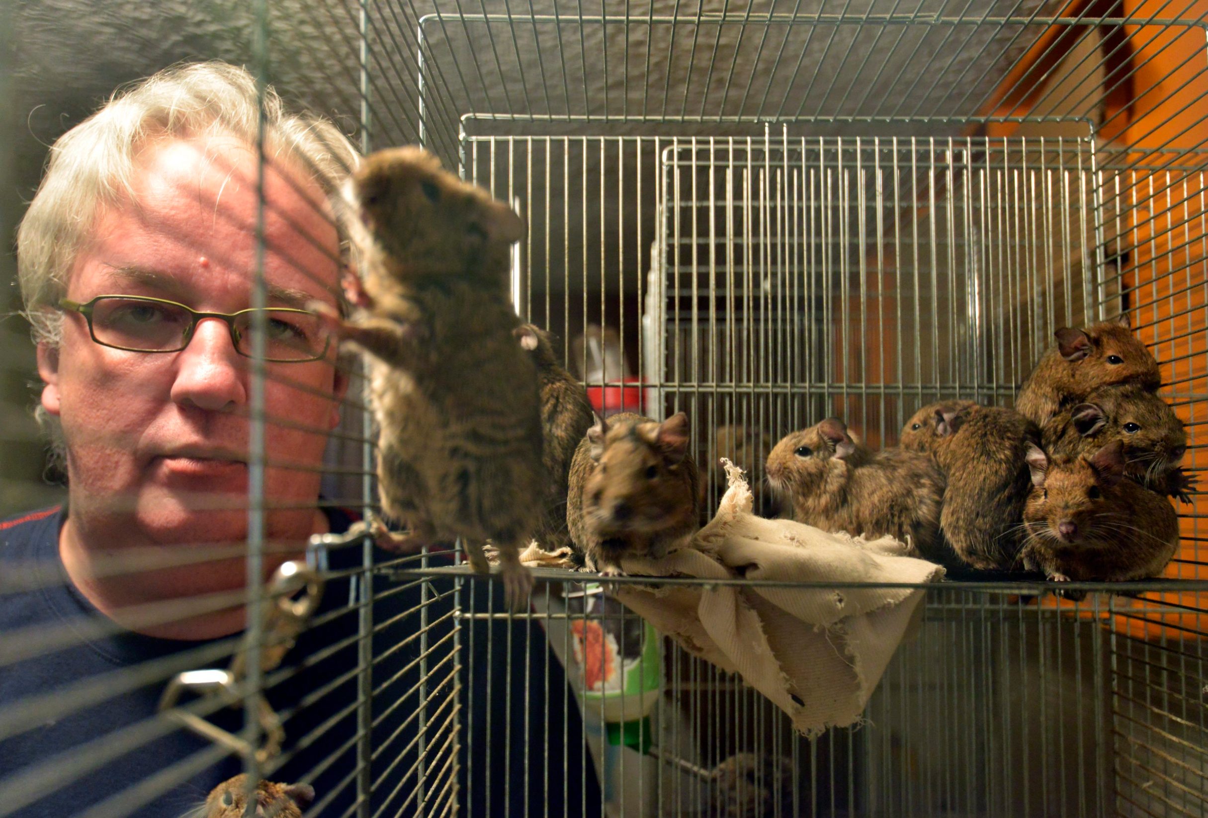 Boris Perić u društvu svojih kućnih ljubimaca čileanskih vjeverica