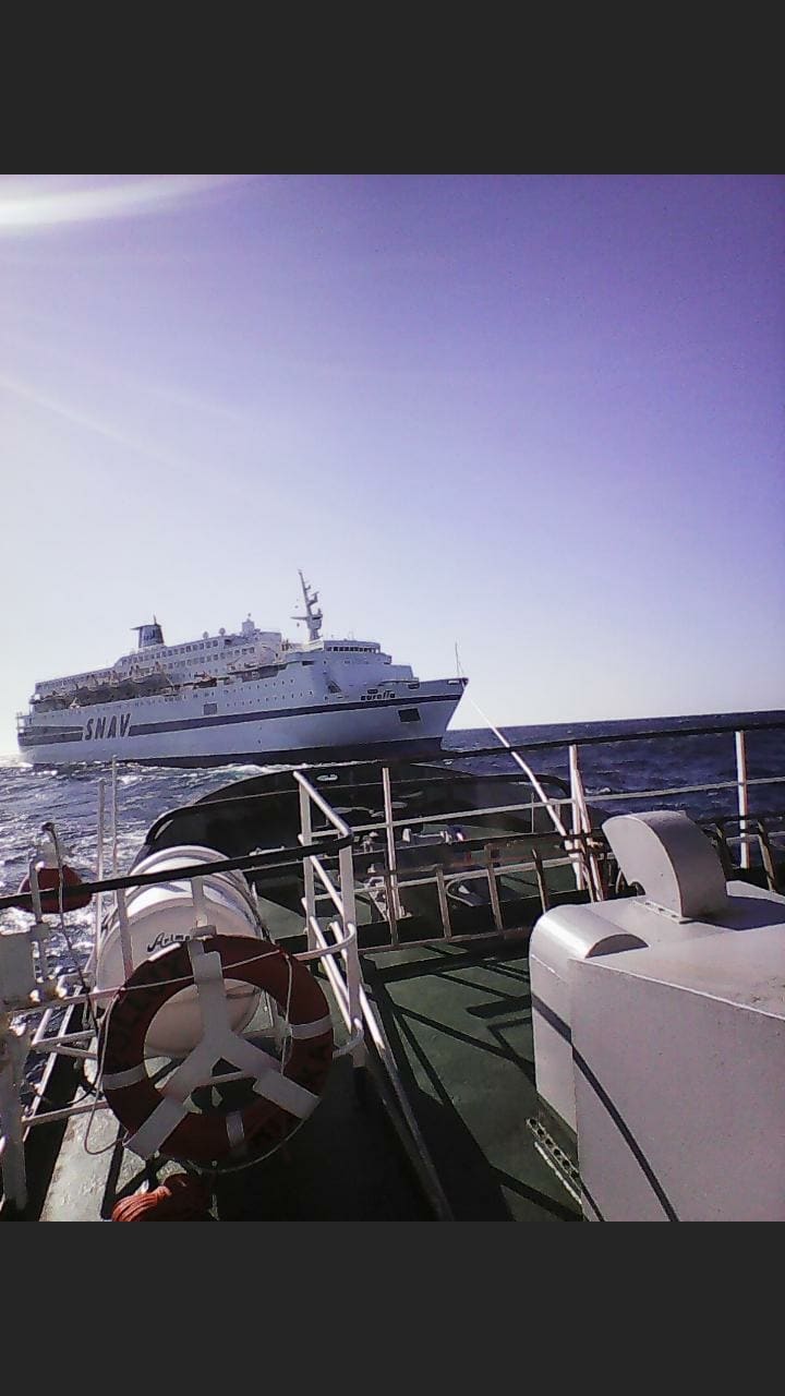 59959383_419543068859027_2353114707763658752_n