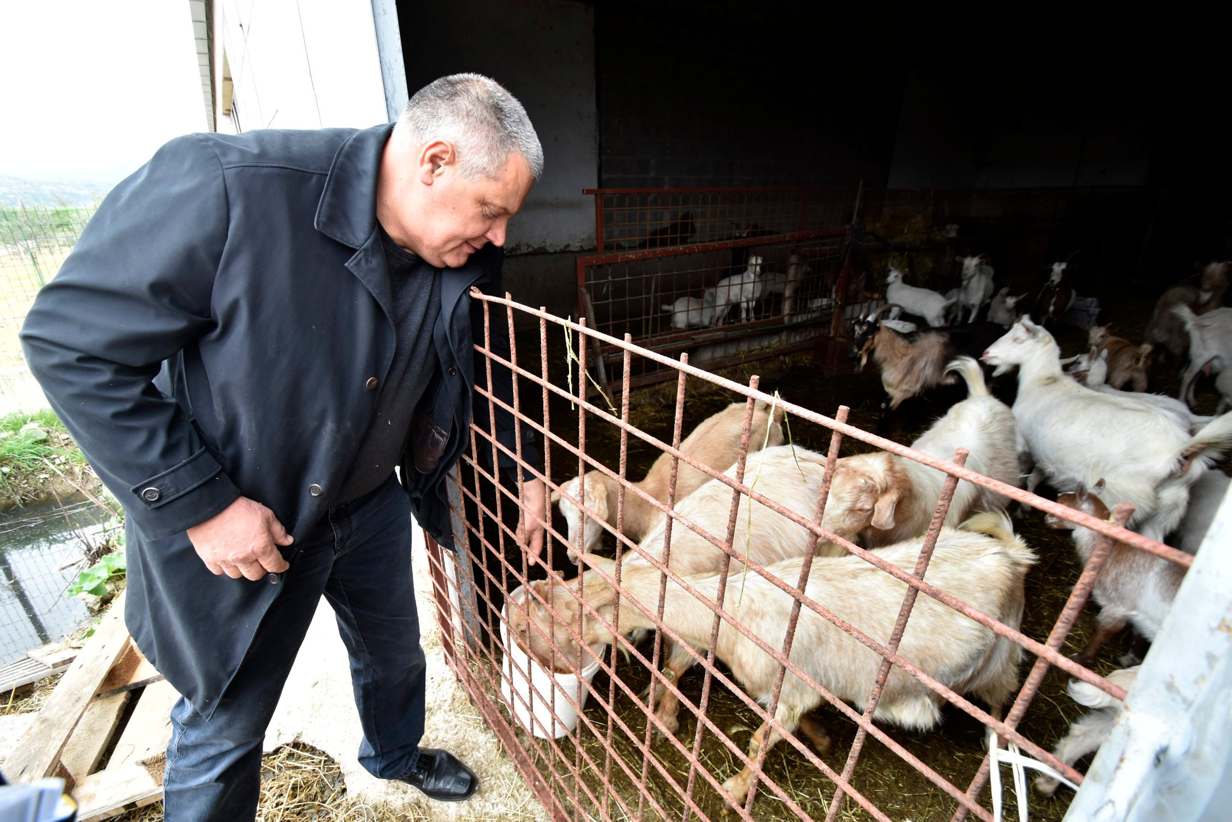 bruceloza_metkovic3-110519