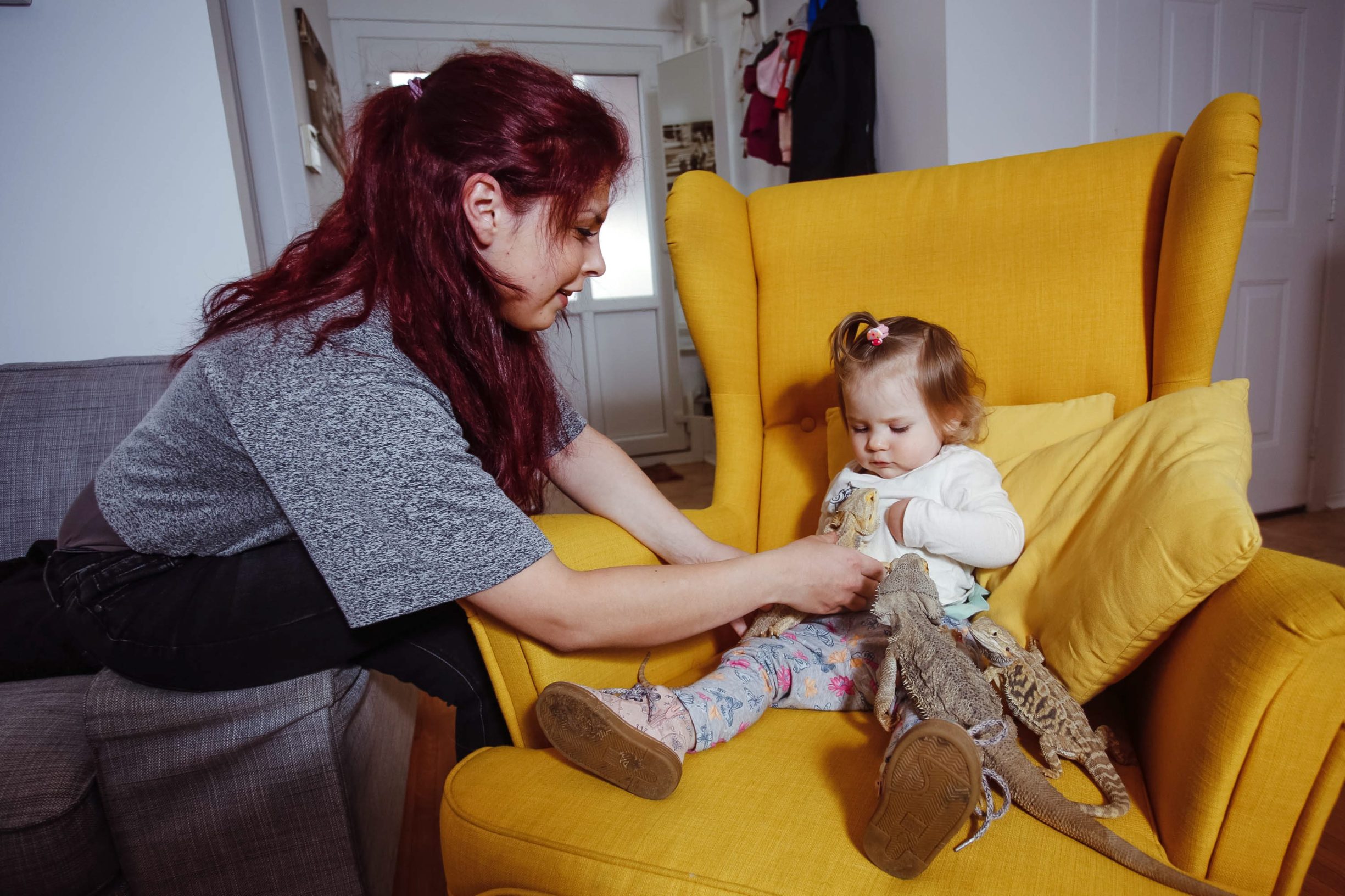 kovacevic_zivotinje9-030519