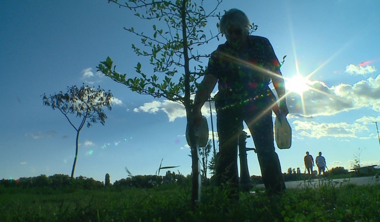 Dokumentarni fil  'Čovjek i drvo'