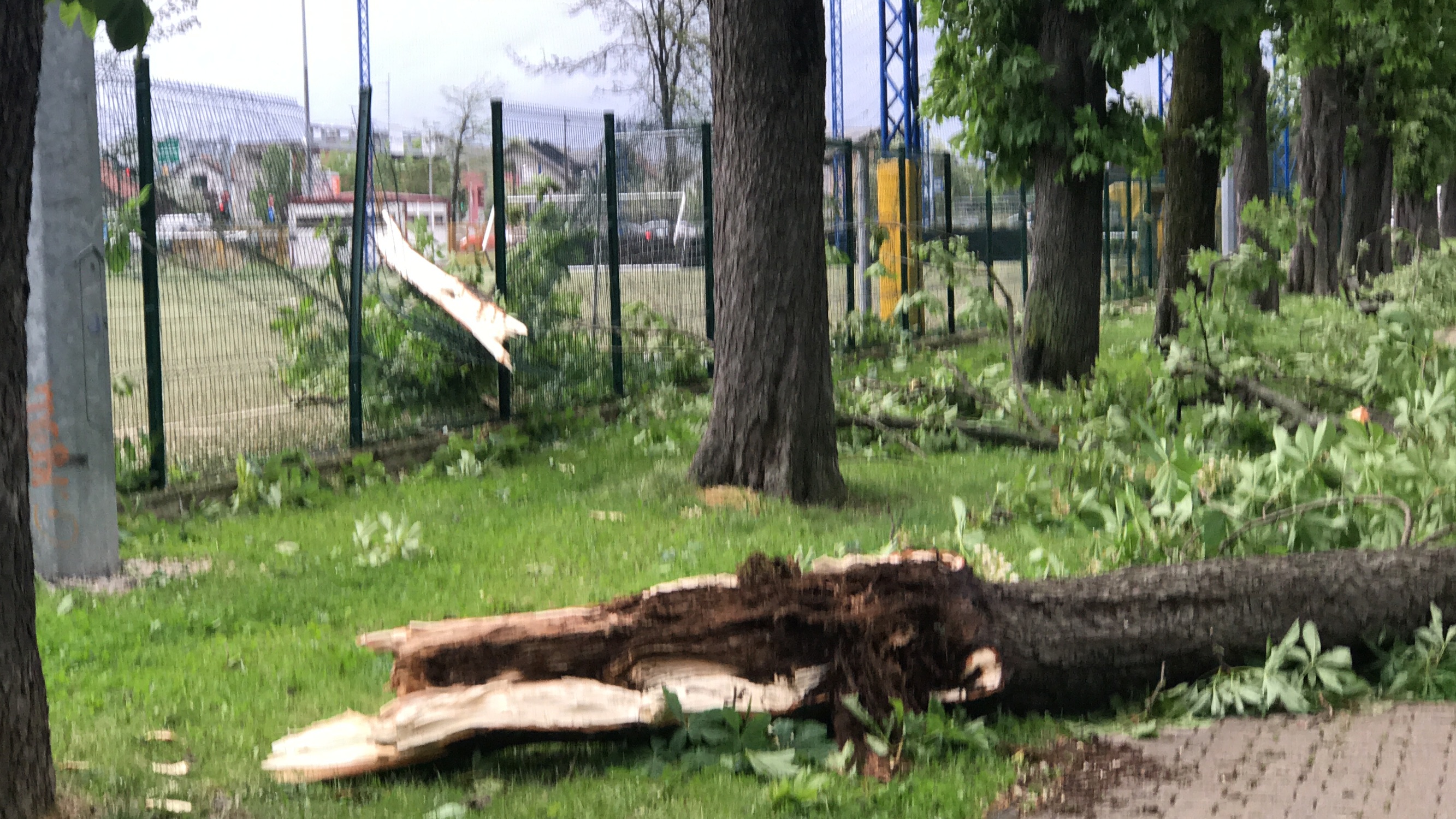 Krešimi Žabec Park bolnice Vrapče 4