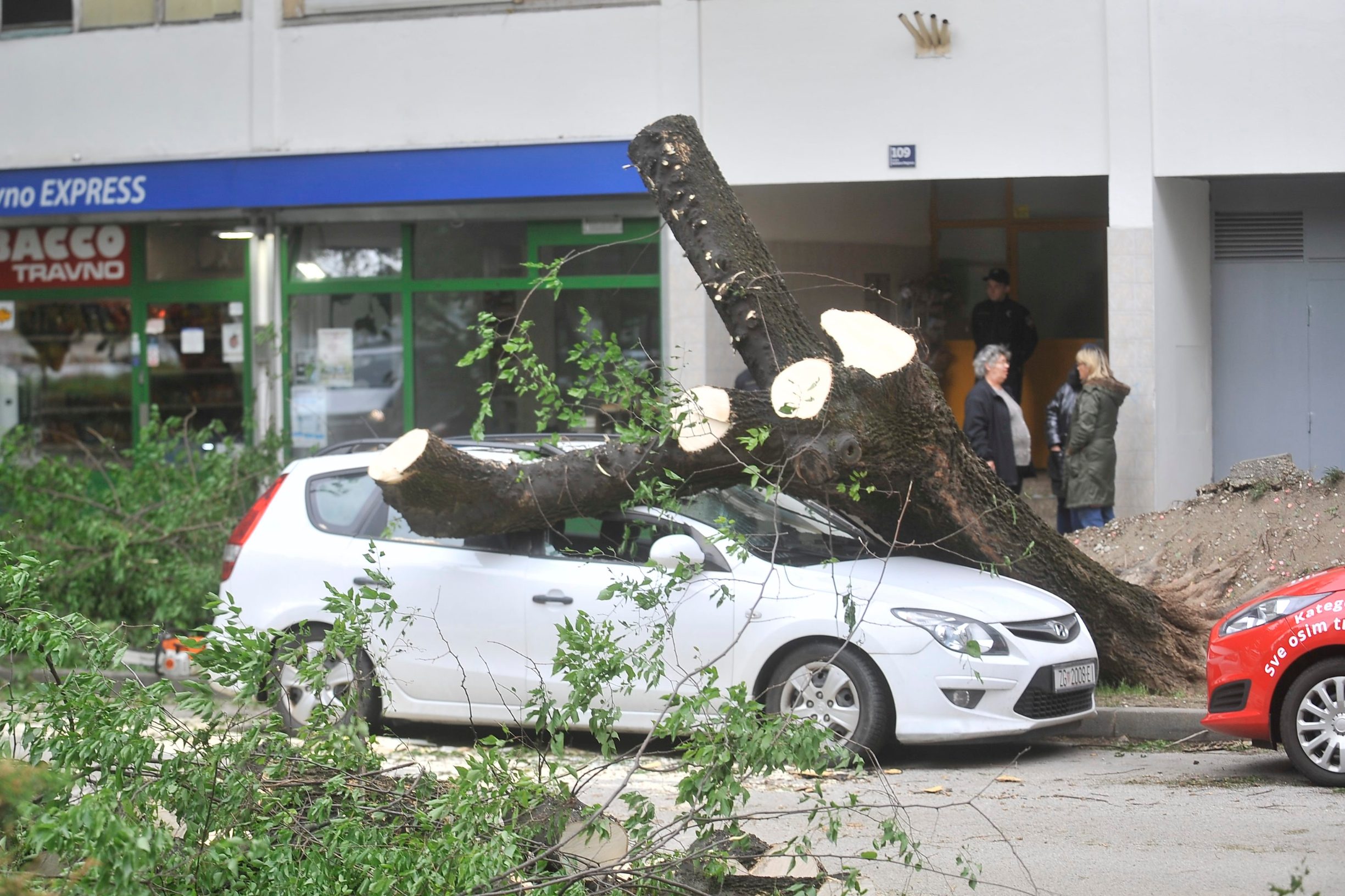 stablo_automobil5-140519