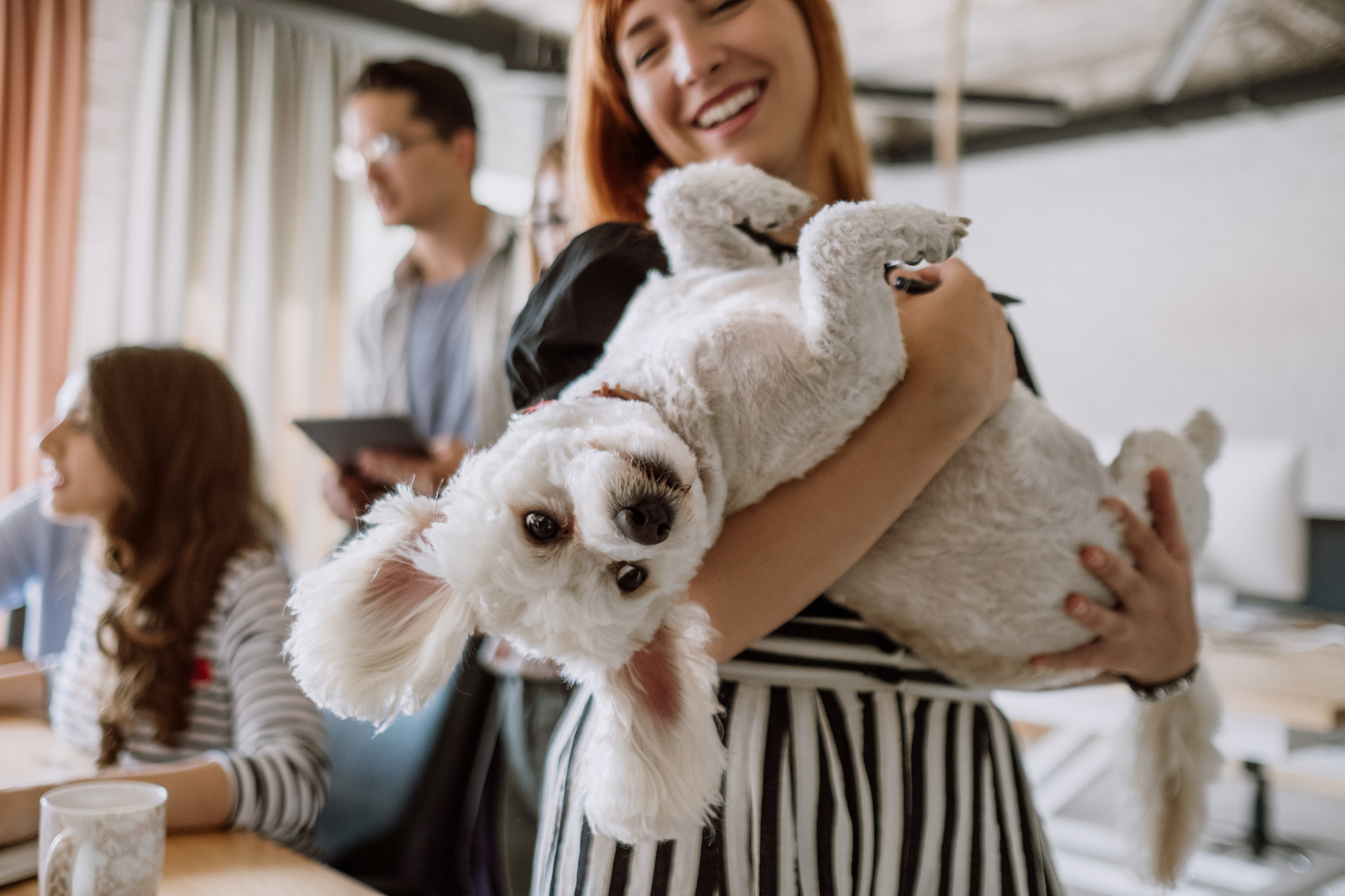 iStock-854033746