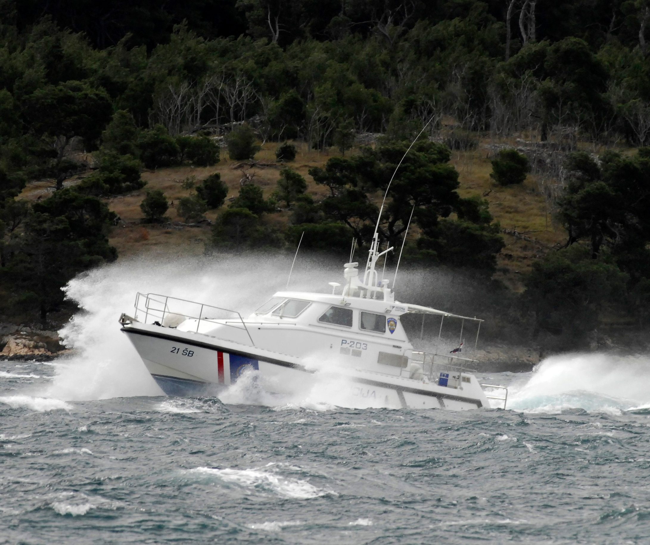 jugo_policija1-290309