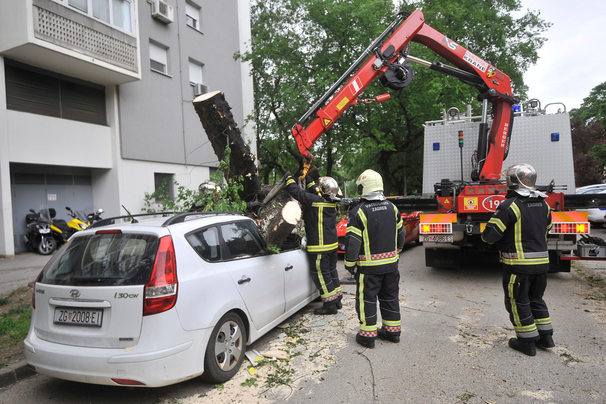 stablo_automobil8-140519