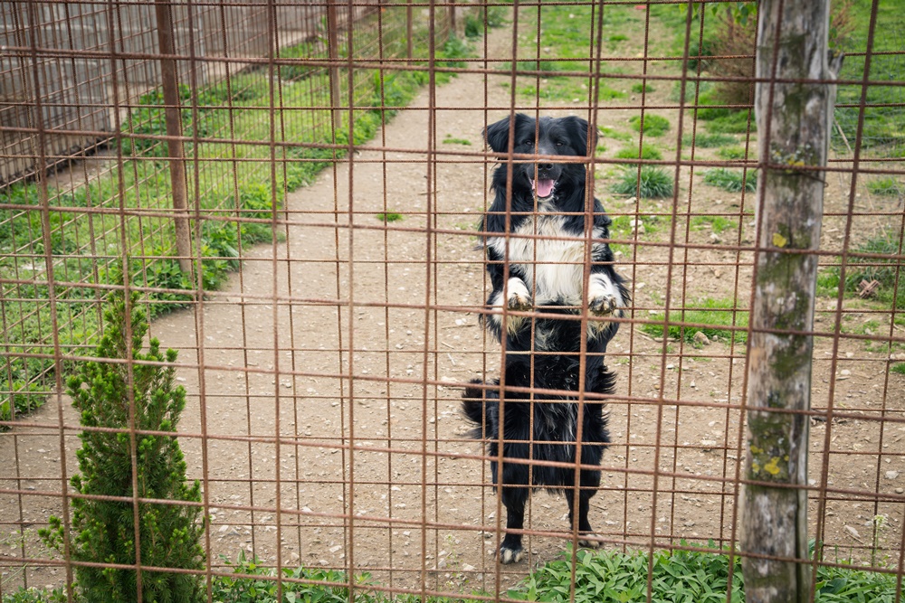 Pune zdjelice imat će mjesecima!