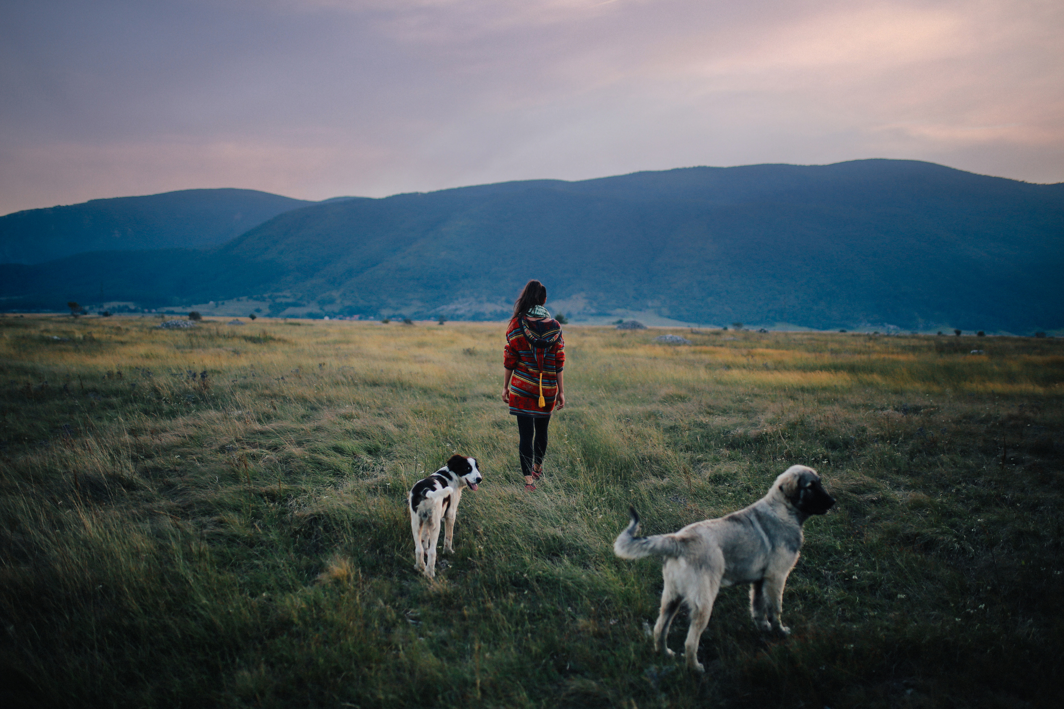 Smrt ljubimca može biti zaista traumatično iskustvo i stvoriti veliku prazninu u našim srcima i životima. 