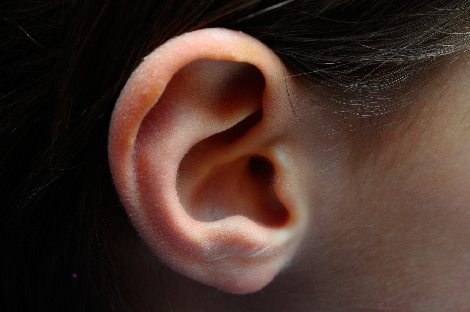 profimedia-0186529860