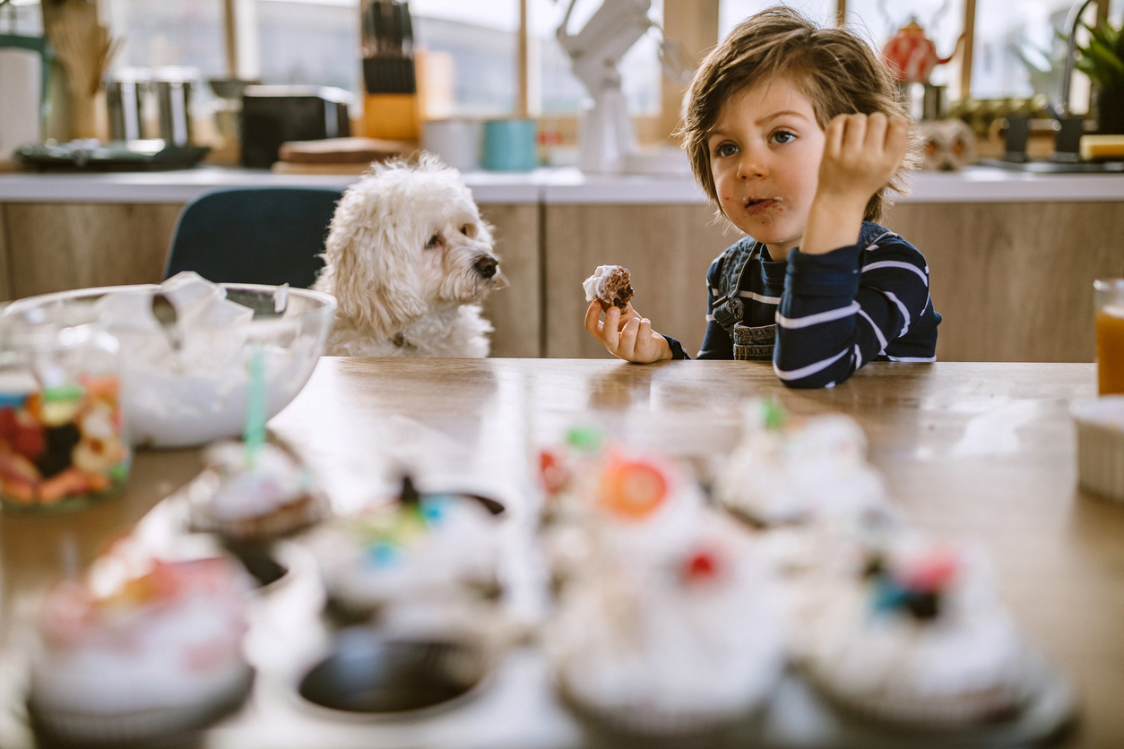 Gotovo trećina djece jede čokoladu ili bombone više od tri puta tjedno, svako treće dijete u školu odlazi autobusom ili ga voze roditelji.