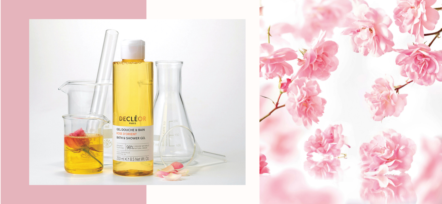 Dizajn bez naslova (4)