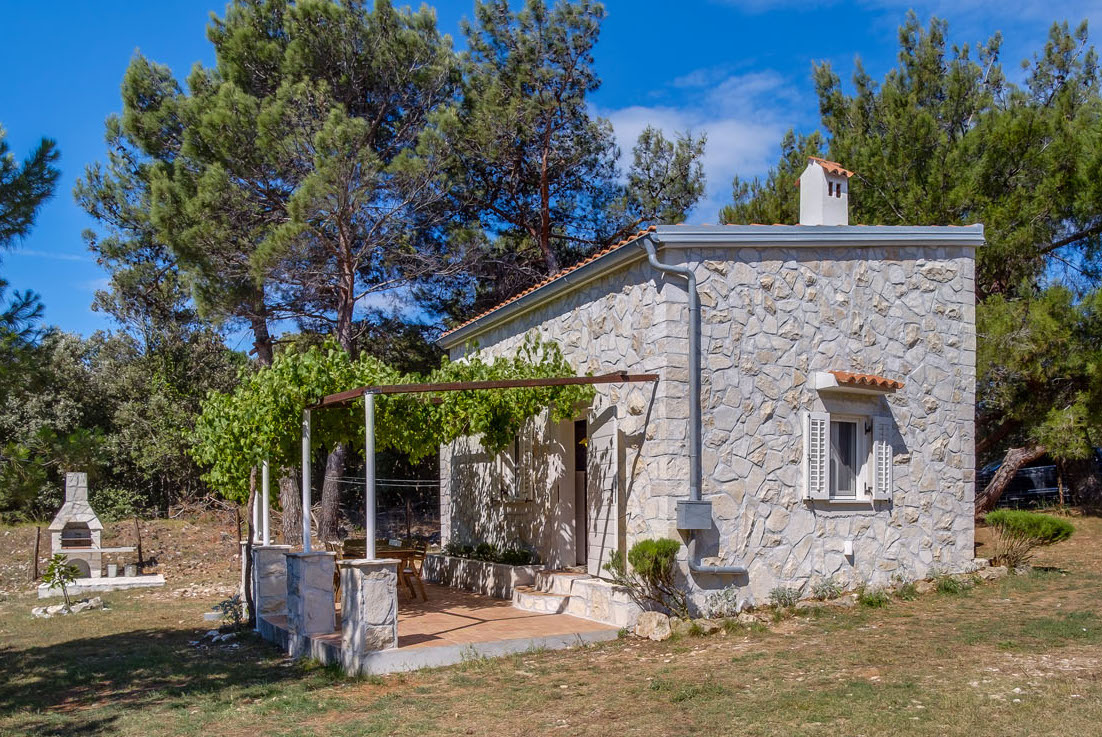 cvjeticanin zabodarski--13_1