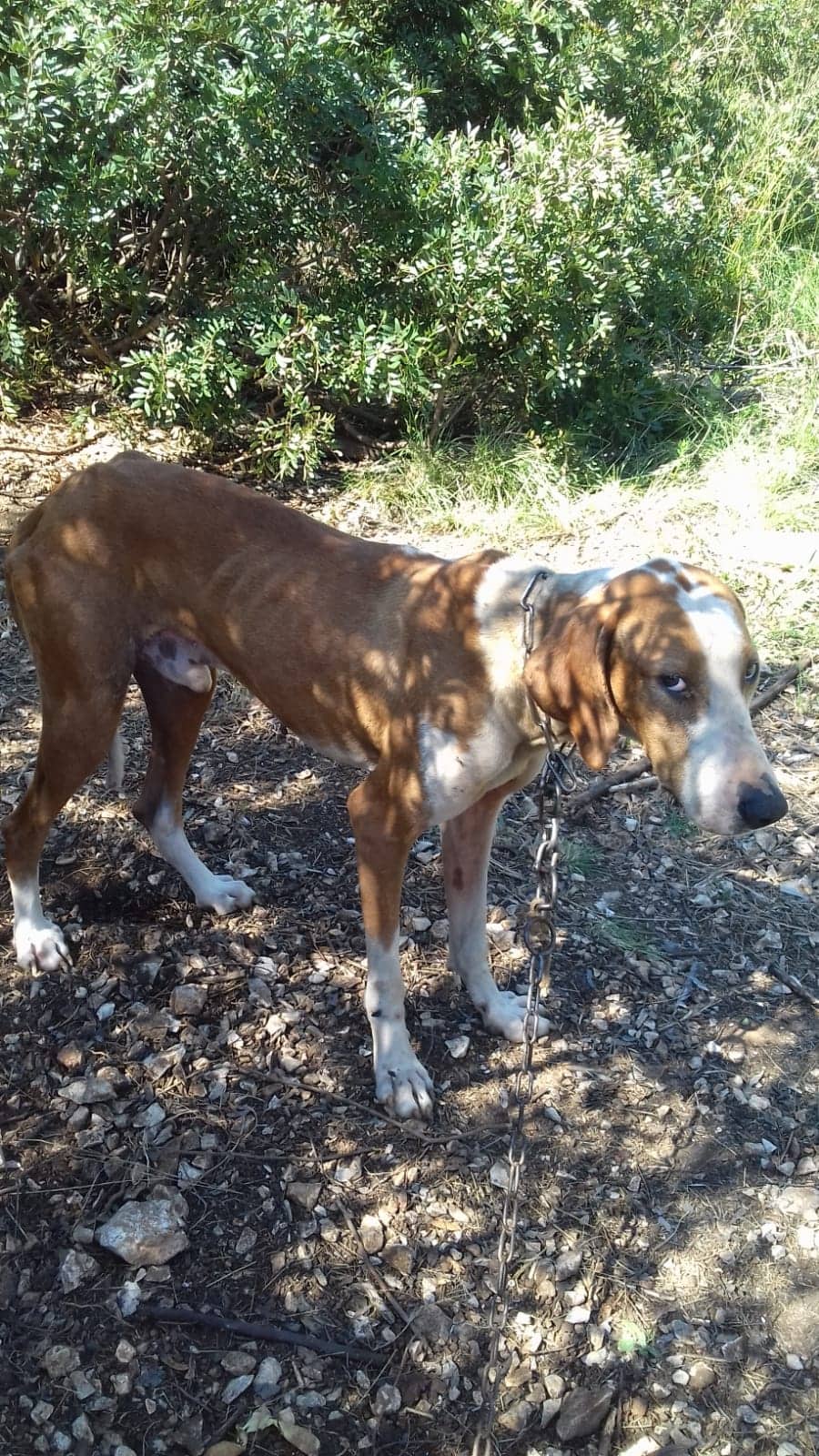 59383470_574673886274451_5995659643819393024_o