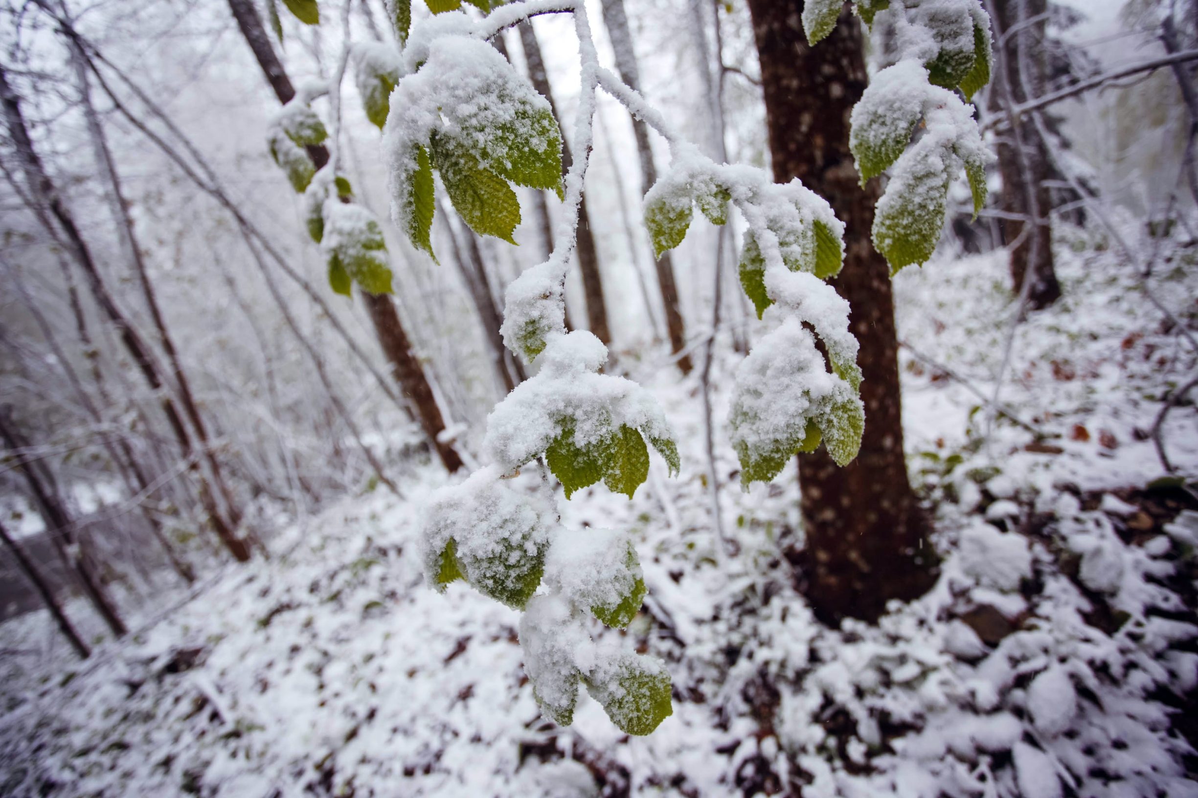 sljeme_snijeg-050519