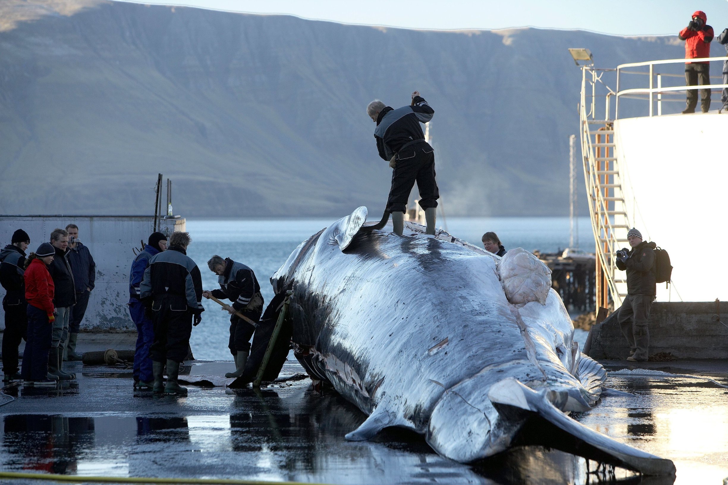 profimedia-0011179082