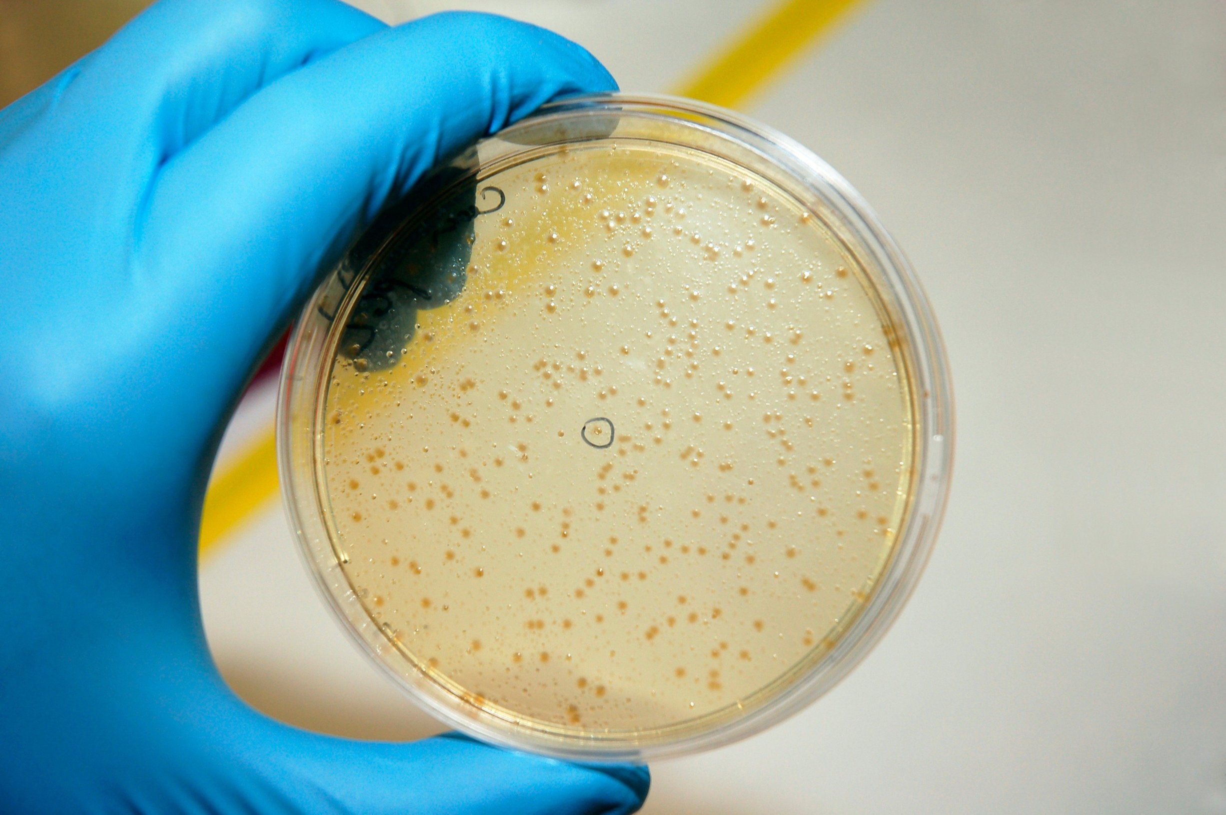 profimedia-0101637760