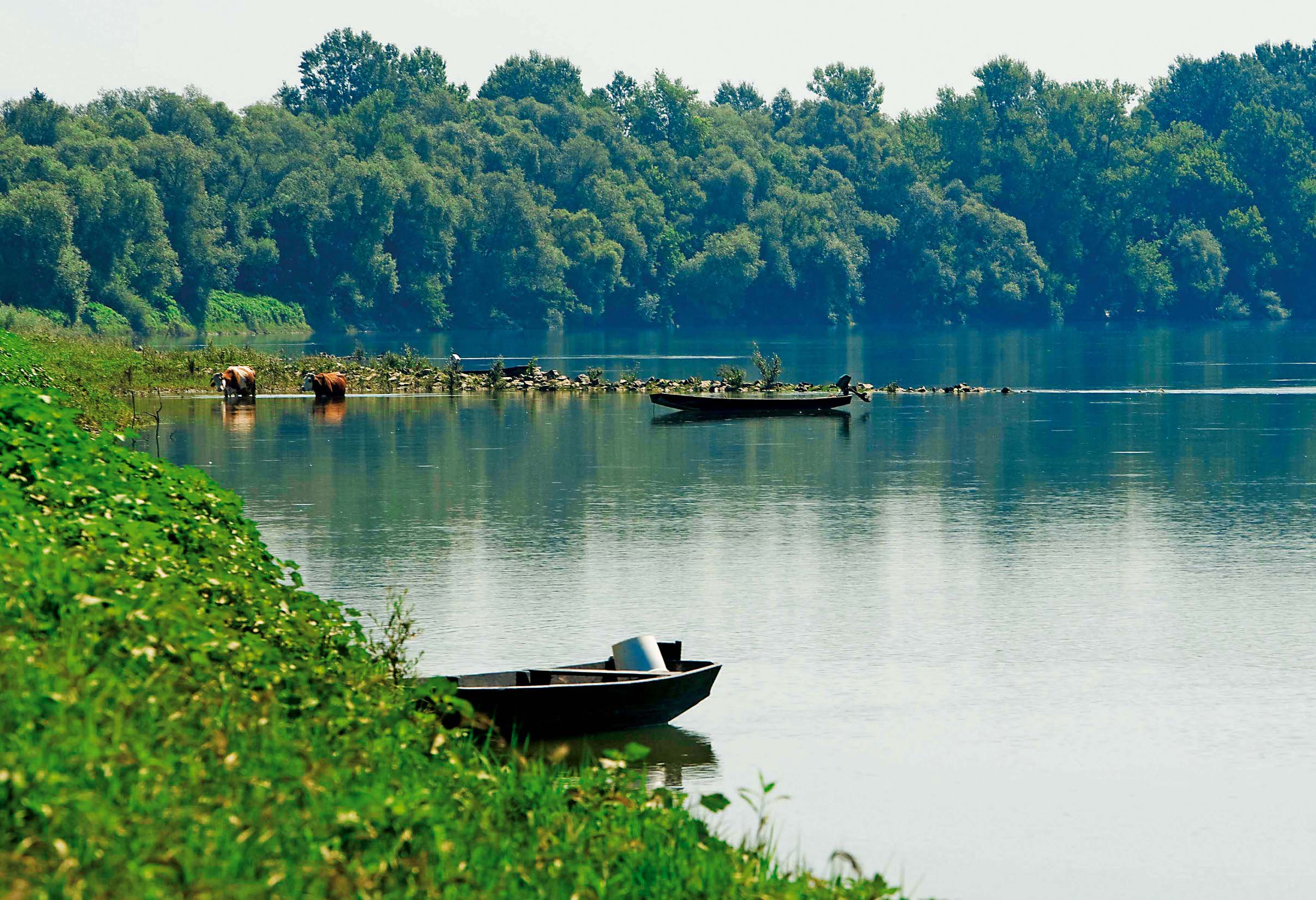 Vikend-IN-Krapje-170709-09