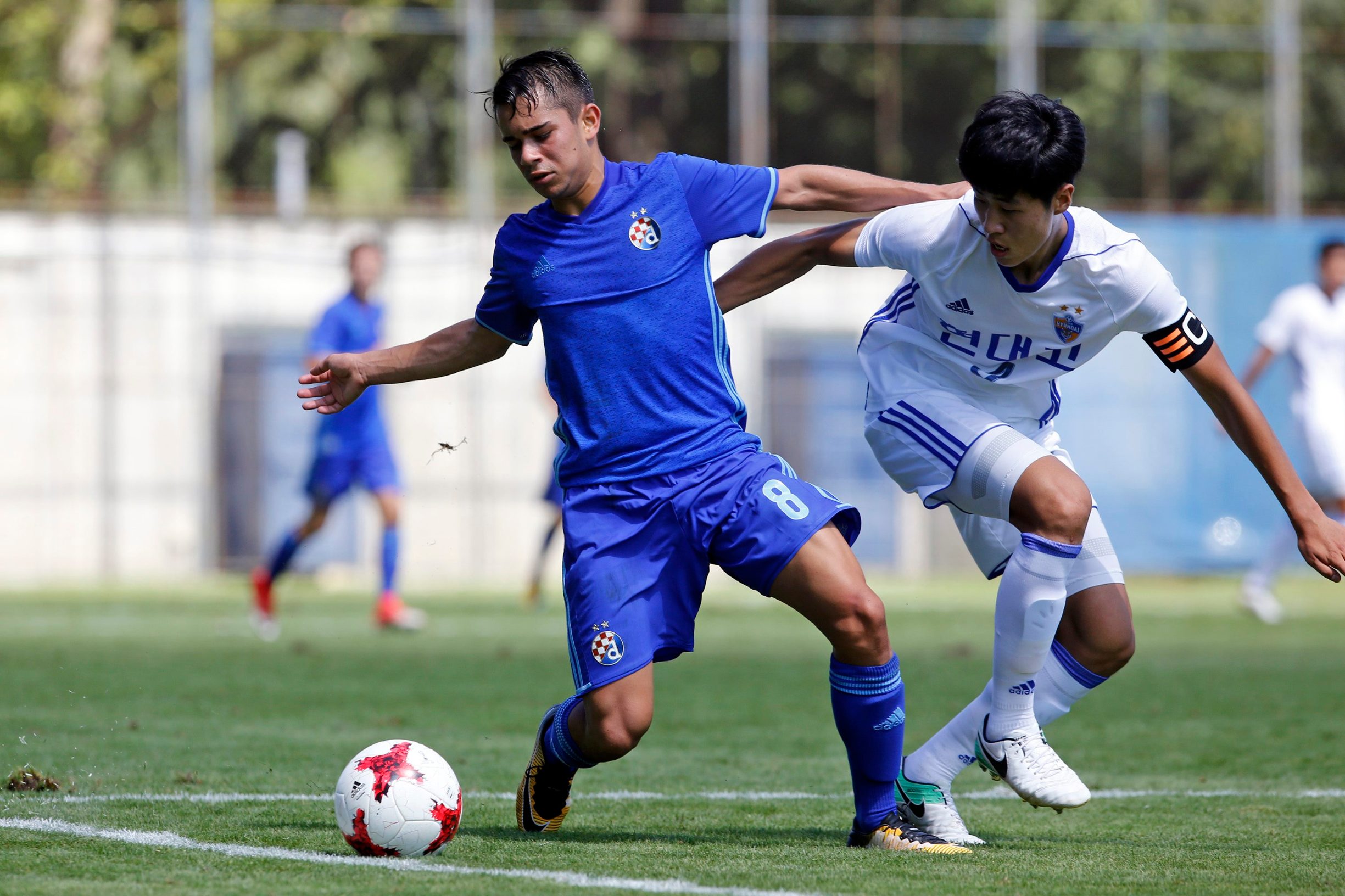 dinamo_ulsan12-130817