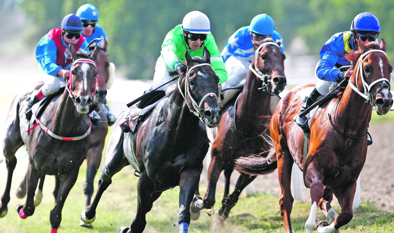 247561-317486-kup_gradonacelnika-290613