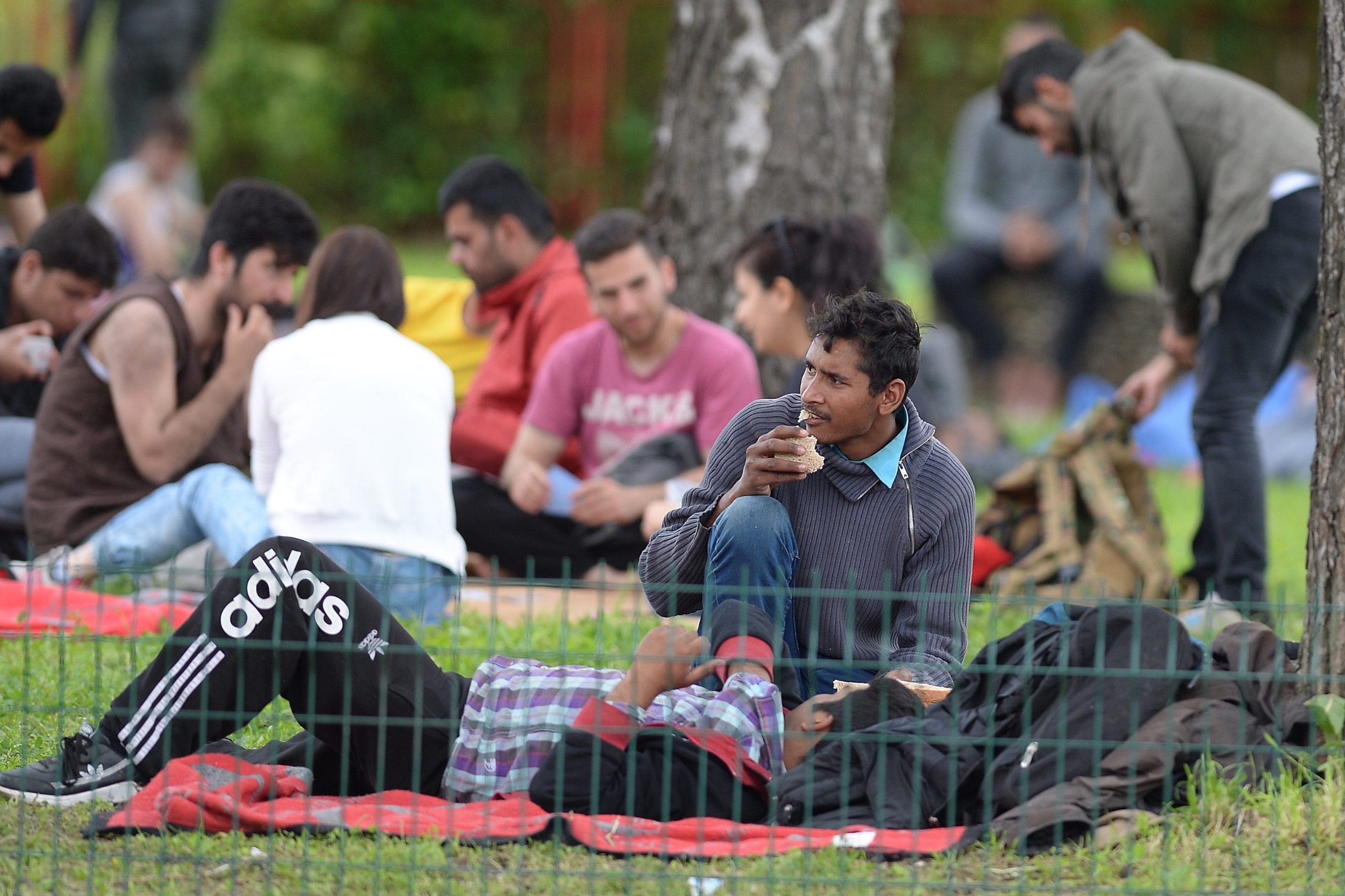 miral_kladusa16-050619