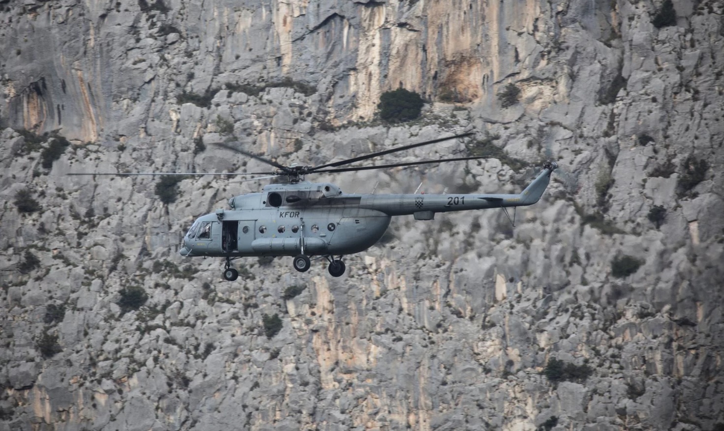 omis jedan