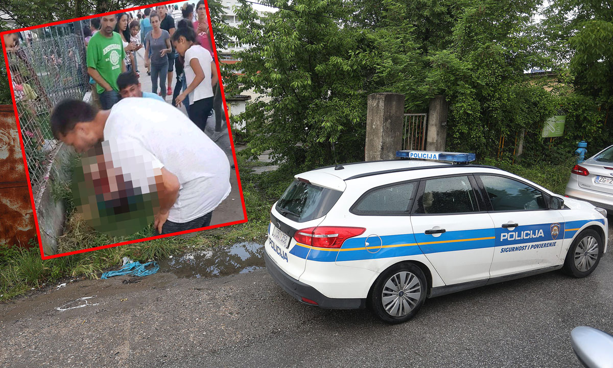 oreskoviceva_bacva4-050619