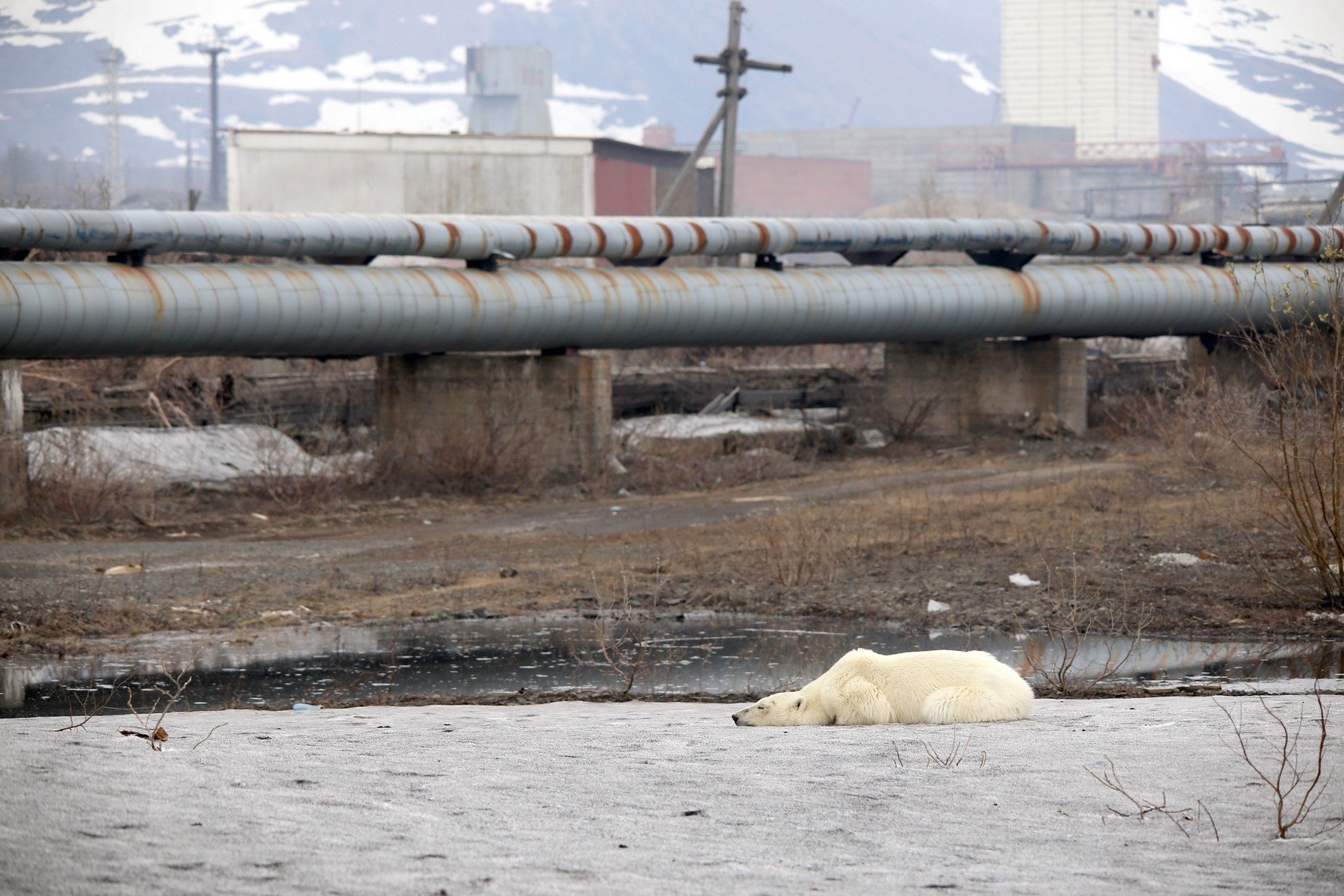 profimedia-0448928841