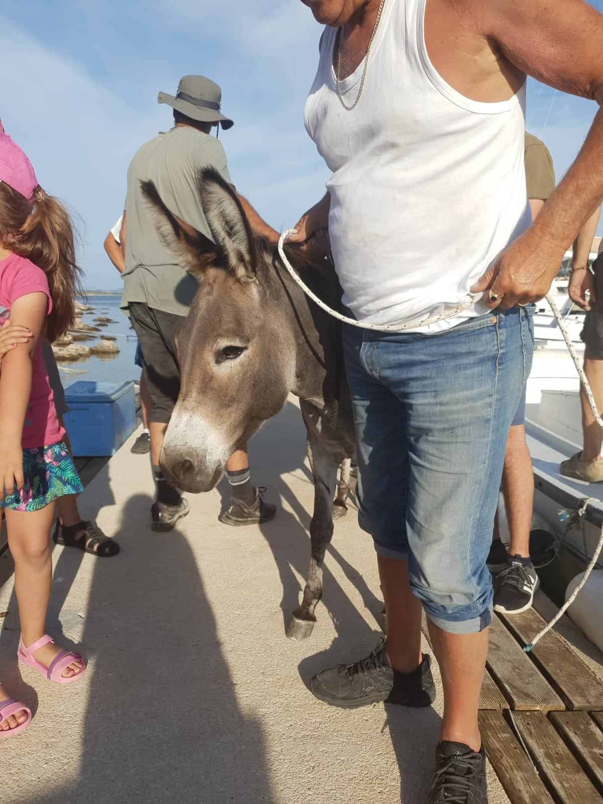 64382161_2274478409548448_2430596441769508864_n