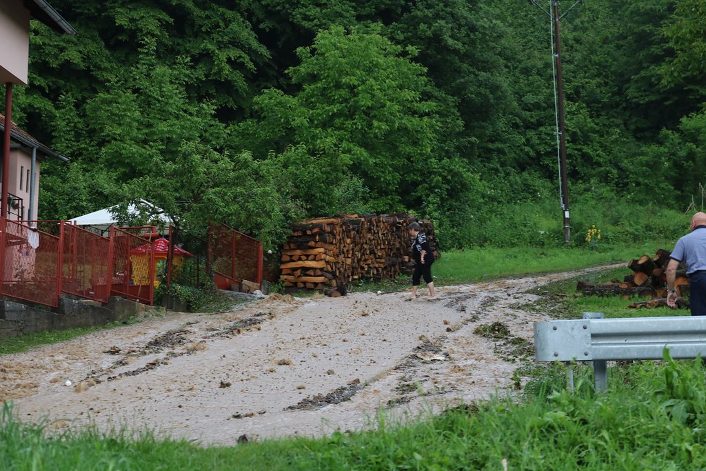 47985891757_bc0de9d379_b