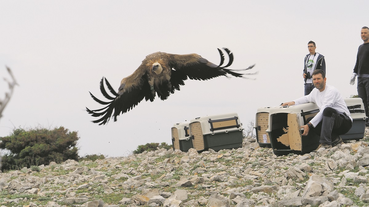 243687-313249-P1010269_1