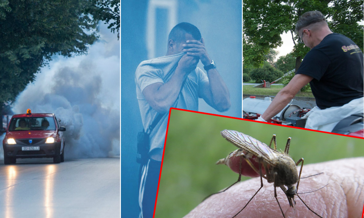 Zaprašivanje komaraca