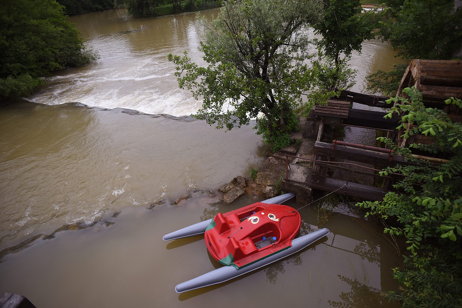 zamucena_mreznica21-230619