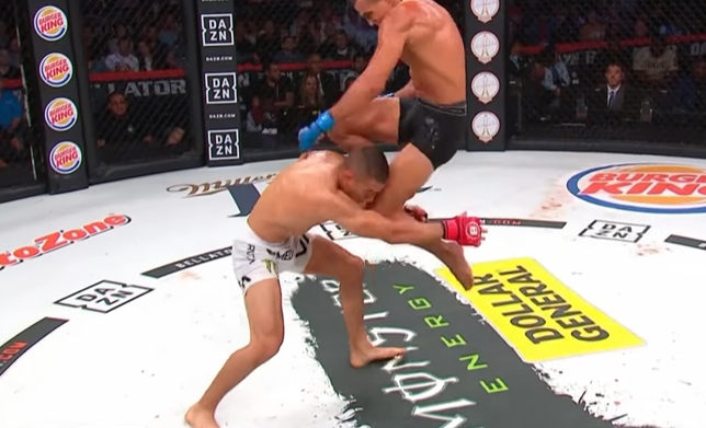 Aaron Pico i Adam Borics (Bellator 222)