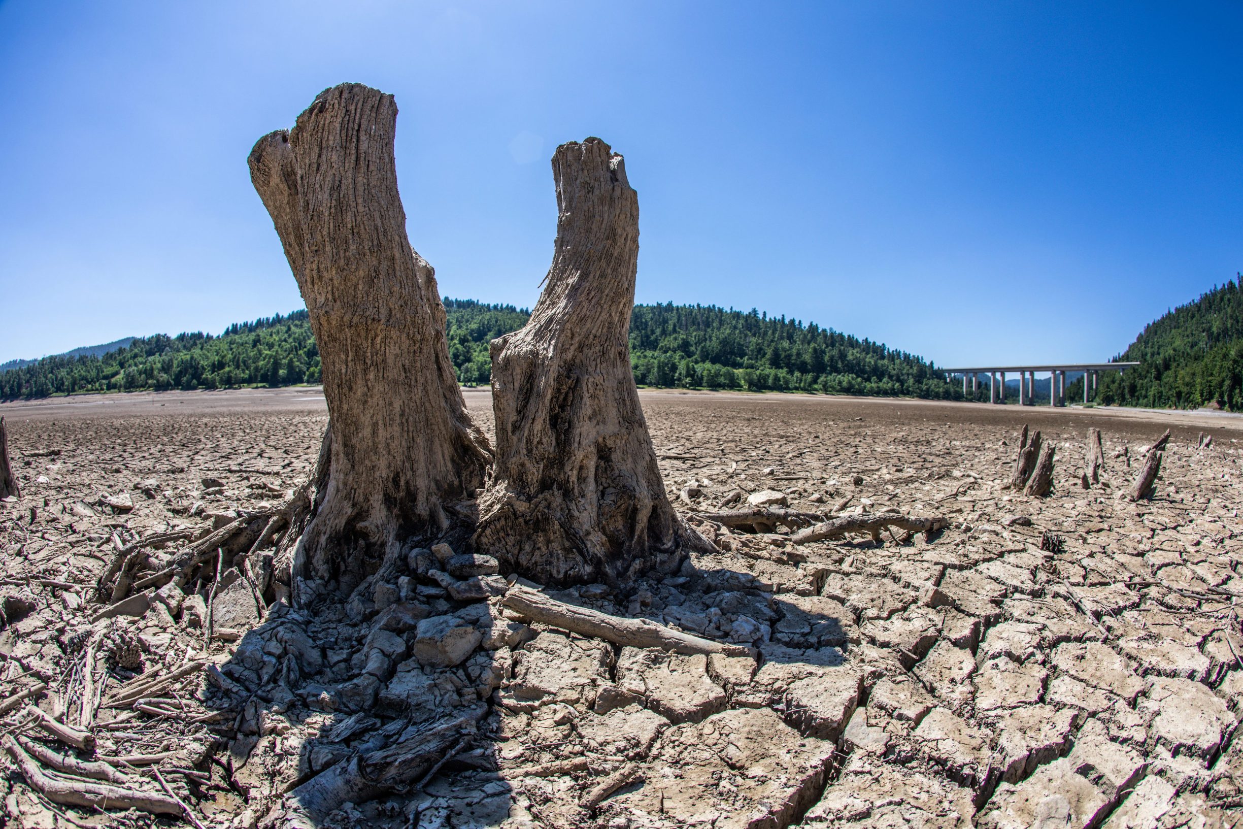 jezero_bajer1-290619