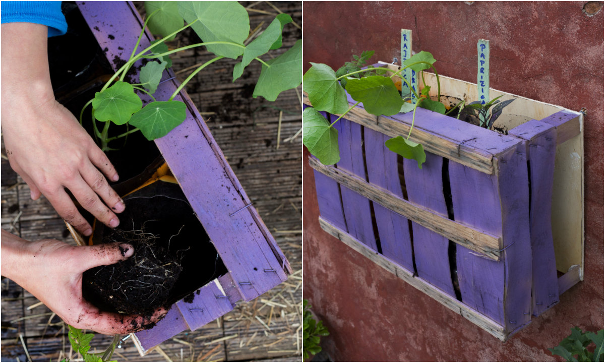 Vertikalni vrt collage