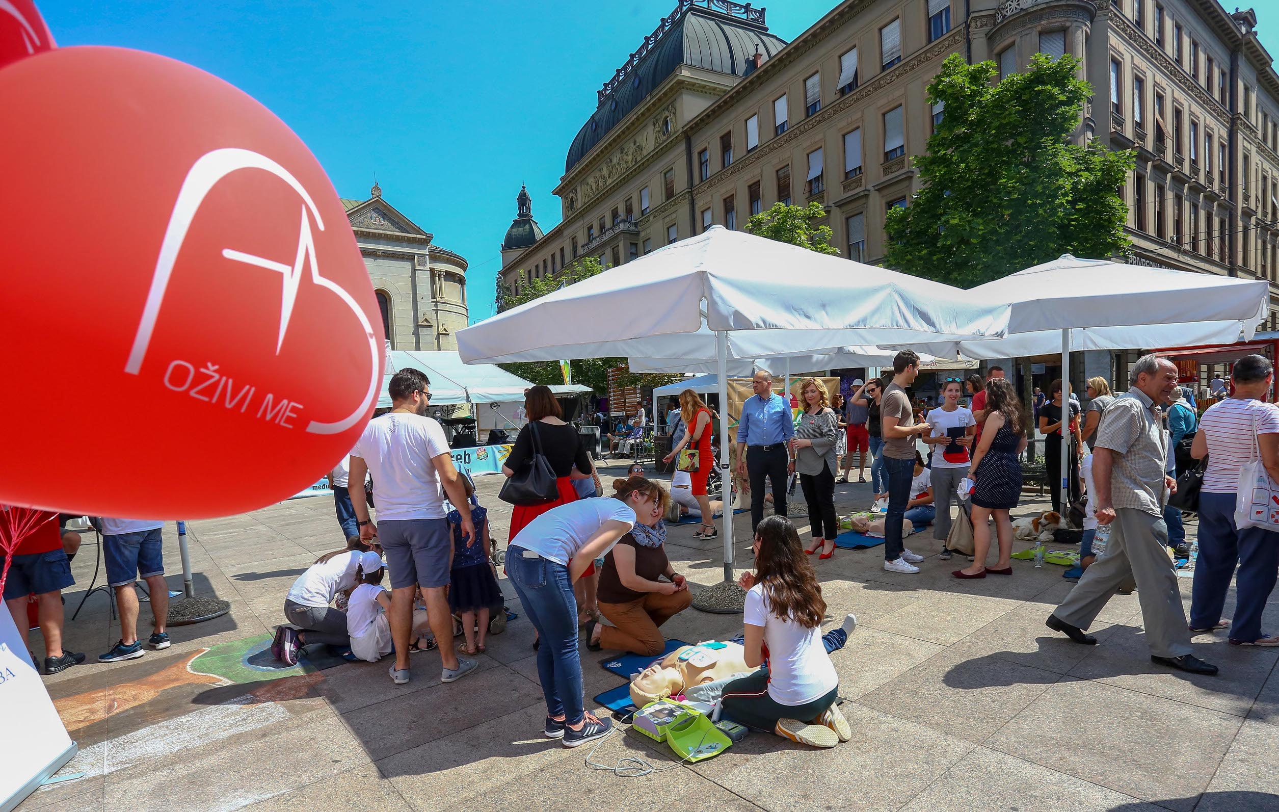 Prema broju umrlih zbog kardiovaskularnih bolesti svake godine nestane jedan grad u RH