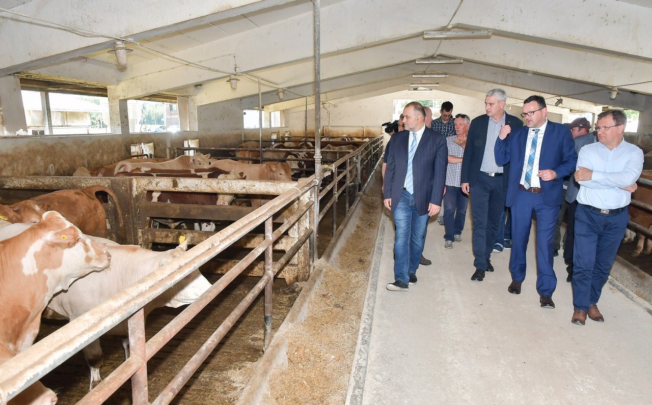 Damir Jelić, župan Karlovačke županije, Damir Mandić, gradonačelnik Karlovca, Igor Miljak, predsjednik Uprave PPK d.d. na otvorenju rekonstruirane farme junadi