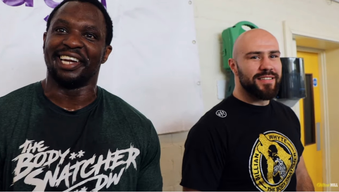Dillian Whyte i Alen Babić